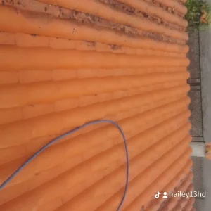 nettoyage ravalement 0041