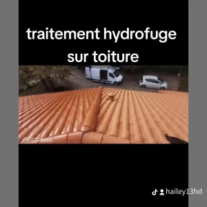 peinture traitements 0002